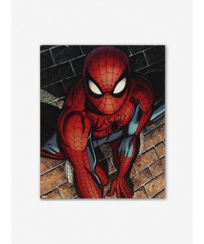 Marvel Spider-Man Brick Wall Close-Up Wood Wall Decor $10.47 Décor