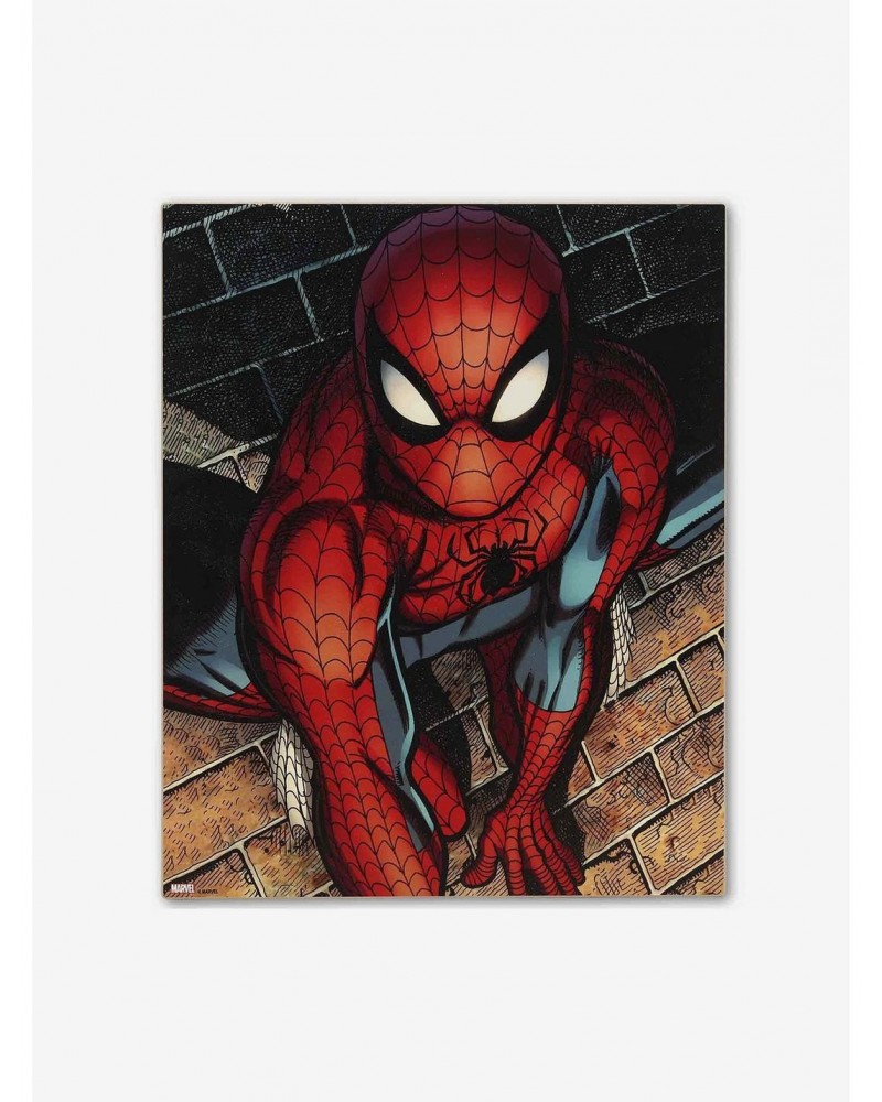 Marvel Spider-Man Brick Wall Close-Up Wood Wall Decor $10.47 Décor